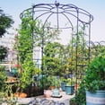 thumbnail image 3 of Patiojoy Birdcage Shape Garden Arch 9.4 x 6.8FT Heavy Duty Arch Trellis for Climbing Plants, 3 of 8