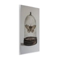 thumbnail image 4 of Stupell Industries Moth in Glass Cloche Animals Painting Unframed Art Print Wall Art, 10 x 15, 4 of 8
