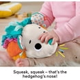 thumbnail image 3 of Fisher-Price Cuddle n' Snuggle Hedgehog Newborn Plush Sensory Toy with Sensory Details for Babies, 3 of 6