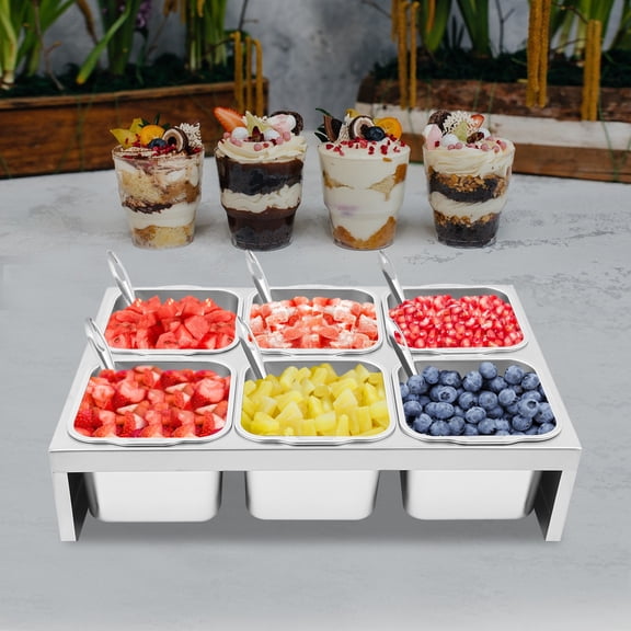 6 Compartment Stainless Steel Tray Set for Toppings and Condiments