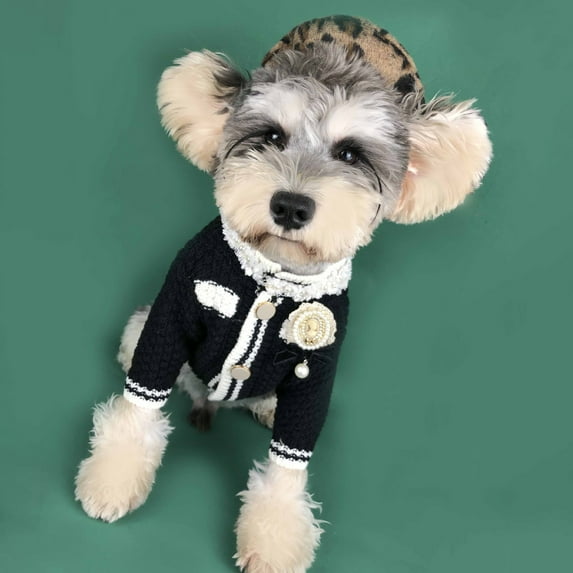 Pet Cardigan No Pilling Non-shrink Button Flower Decor Elegant Delicate Stitching Unisex Dog Pajamas Small Warm Puppy Outfit for Outdoor