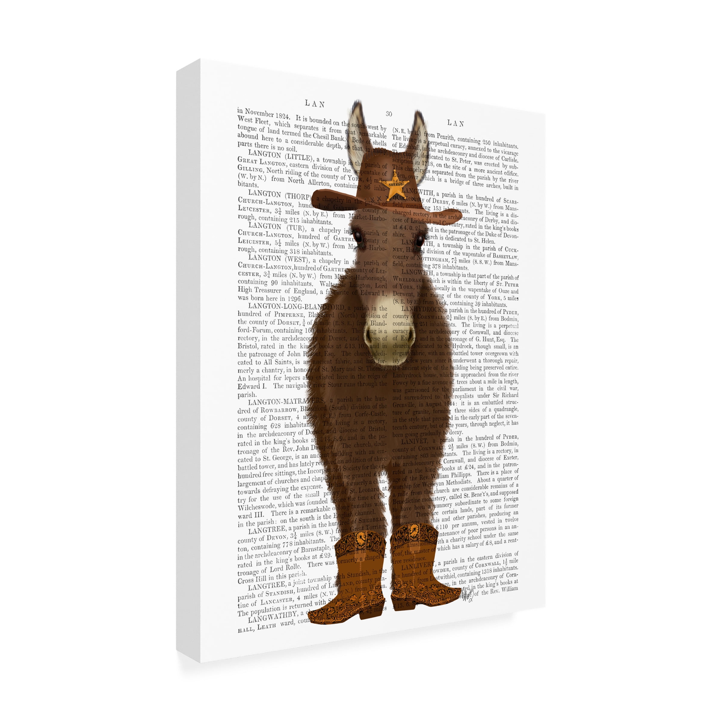 Fab Funky 'Donkey Cowboy Book Print' Canvas Art
