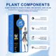 thumbnail image 2 of Teissuly Plant Hair Miao Black And Dong Hair Cream Bags 10 Packs 10 Bags X30ML Teissuly WER202401277411, 2 of 4