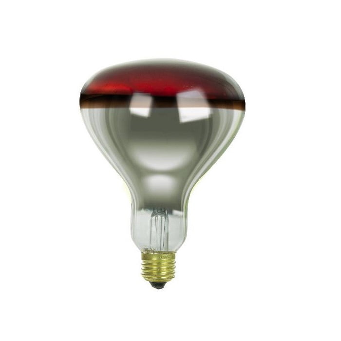 6-Pack 250 Watt Red Infrared Heat Lamp Light Bulbs 