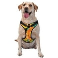 thumbnail image 1 of Orange Rock Graffiti Dog Harness, Pet Dog Out to Prevent Break Free Leash, Adjustable, Easy to Wear, Large, 1 of 9