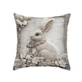 thumbnail image 2 of Tuvgenk Throw Pillow Covers Indoors 18x18 In Polyester Pillowcases Furry Rabbit Multicolor for Couch, 2 of 6