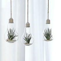 GOOHOCHY 2 Pcs Light Bulb Hanging Vase Hydroponic Terrarium Pot Plant Pots Indoor White