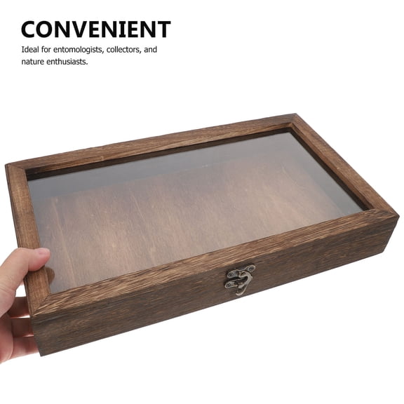 QIFULL Wooden Butterfly Display Case with Transparent Lid for Insect Specimen Storage and Preservation