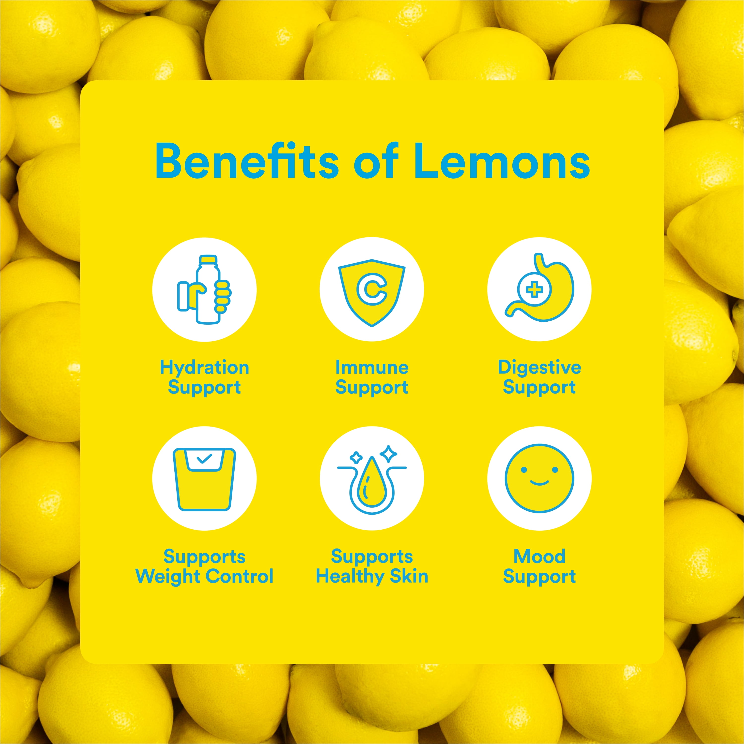 Lemon Perfect 4-Flavor Variety Pack, Organic, Zero Sugar, Flavored Lemon Water, Delicious and Refreshing, Hydration 15.2 fl oz Bottles (12-Pack)