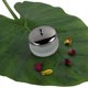 thumbnail image 5 of Vita A to Zee Juego de champú y acondicionador de biotina con aceite de argán marroquí (2 x 16,9 onzas líquidas) | Tratamiento natural de hidratación y acondicionamiento para cabello seco y dañado | B, 5 of 5