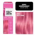 thumbnail image 1 of L'Oréal Paris Colorista Semi Permanente Hair Color, 1 of 7