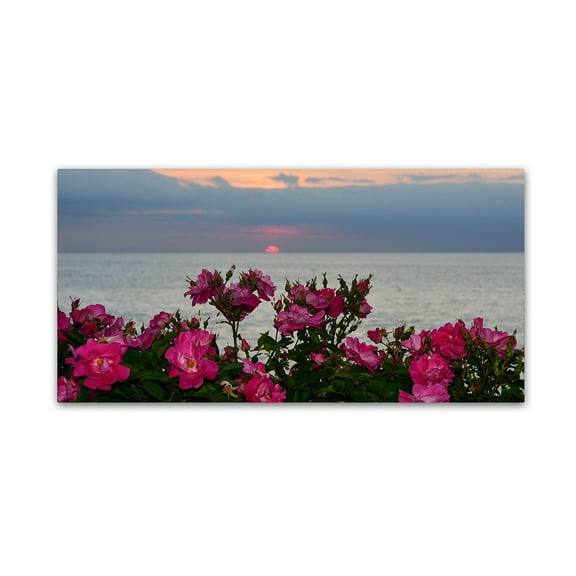 Trademark Fine Art "Sunset Roses" Canvas Art by Kurt Shaffer