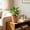 #240Brown, variant on Large Faux Ceramic Embossed Planter with Sturdy Plastic Construction and Removable Tray, Modern Plant Pot for Flowers, Greenery, and Home Garden Decoration.