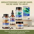 thumbnail image 4 of Motherlove Moringa, Single-Herb Lactation Supplement, 60 Liquid Caps, 4 of 6