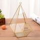 thumbnail image 4 of 4、 Es ideal para el centro de mesa., 4 of 5