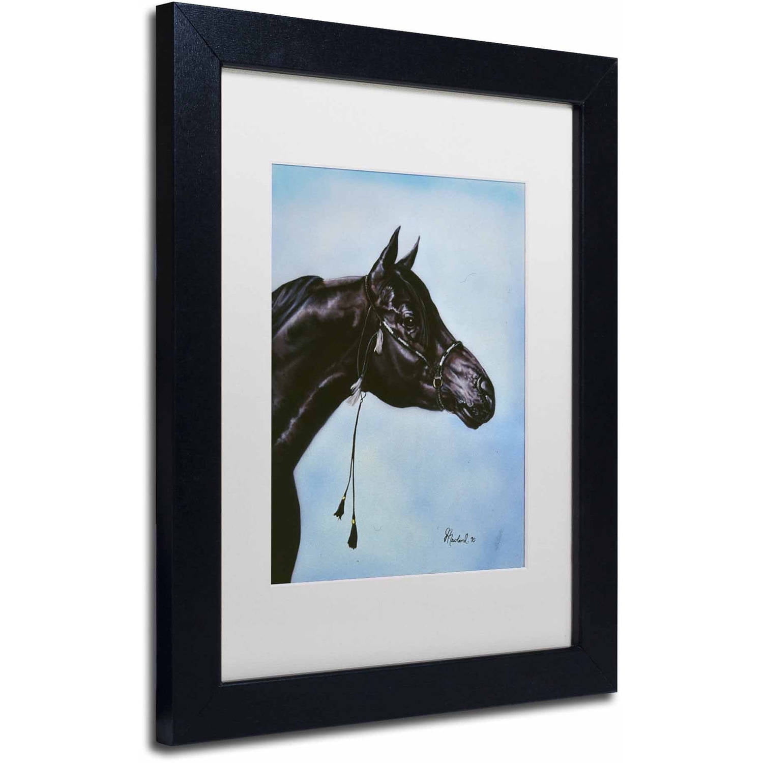 Trademark Fine Art 'Black Arabian' Canvas Art by Jenny Newland, White Matte, Black Frame