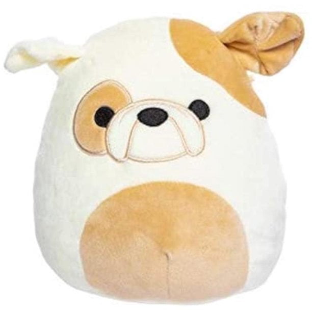 space brock squishmallow