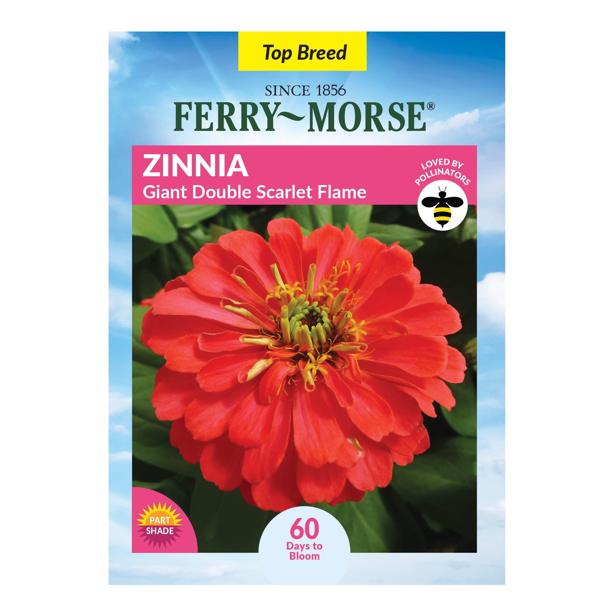 Ferry-Morse Dahlia Unwin's Dwarf Annual Flower Seeds - Full Sun