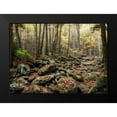 thumbnail image 2 of Head, Danny 24x18 Black Modern Framed Museum Art Print Titled - Dry Creek, 2 of 5