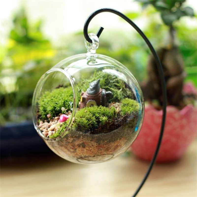 23cm Iron Frame + 10cm Ball Ocamo Charming Hanging Clear Glass Ball Vase Micro Landscape Air Plant Terrarium Succulent Hanging Flowerpot Container