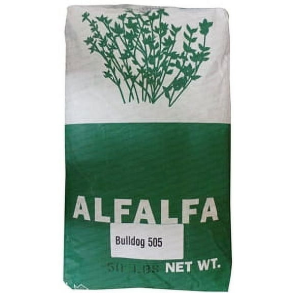 Bulldog 505 Alfalfa Seed Plant Seeds, High Pest Resistance