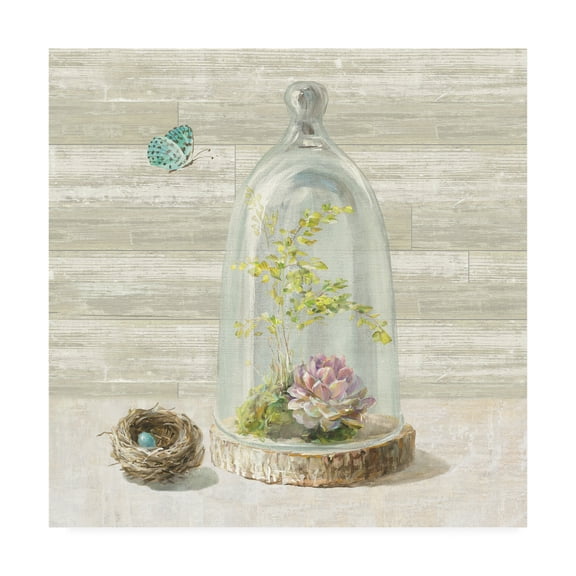 Trademark Fine Art 'Succulent Garden III' Canvas Art by Danhui Nai