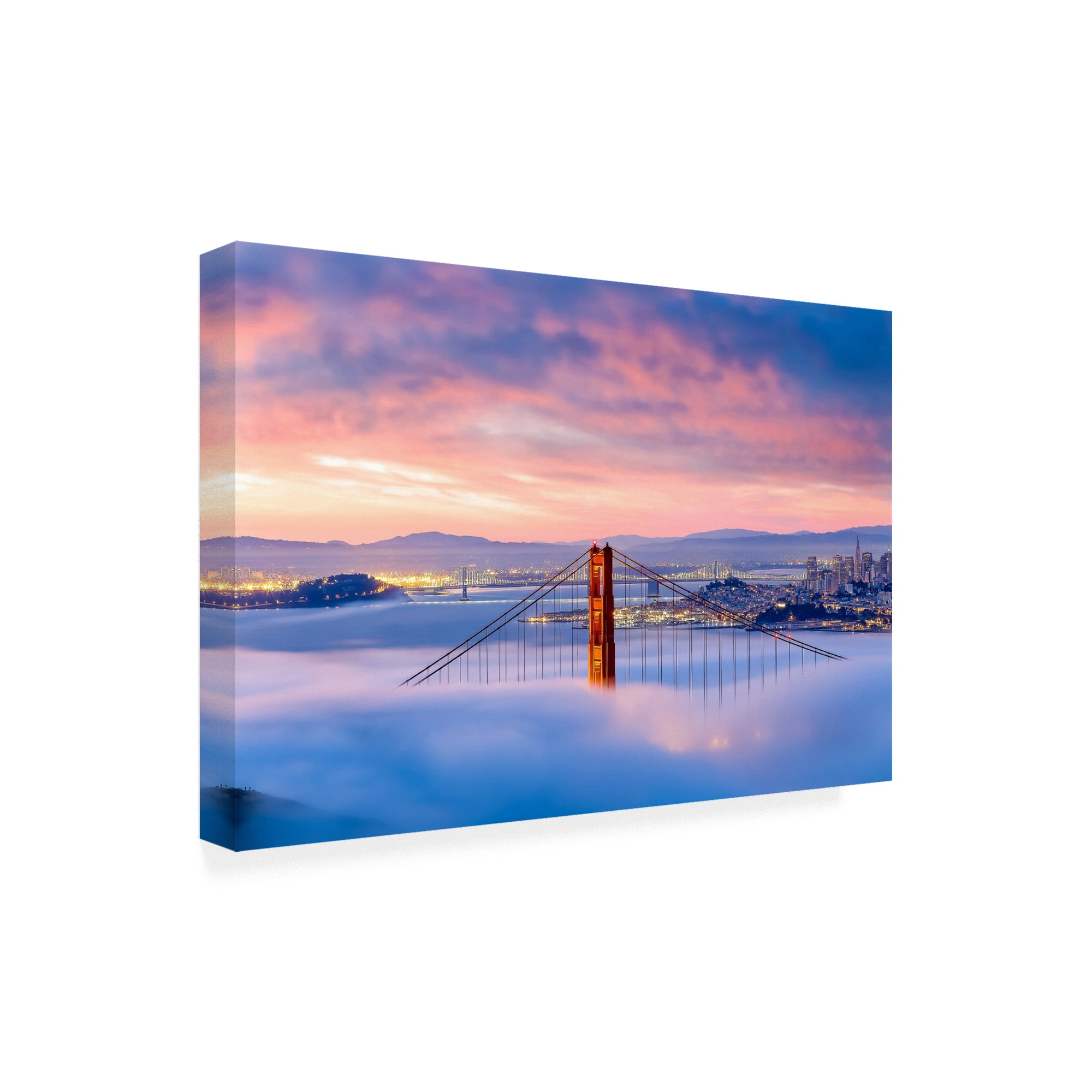 Trademark Fine Art 'Anomaly' Canvas Art by Dave Gordo