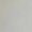 White, variant on Women's Short Sleeve T-shirt Women'S Spring Round Neck Dandelion Printed Loose Casual Short Sleeved T Shirt,Red Women's Short sleeve T-shirt XXL