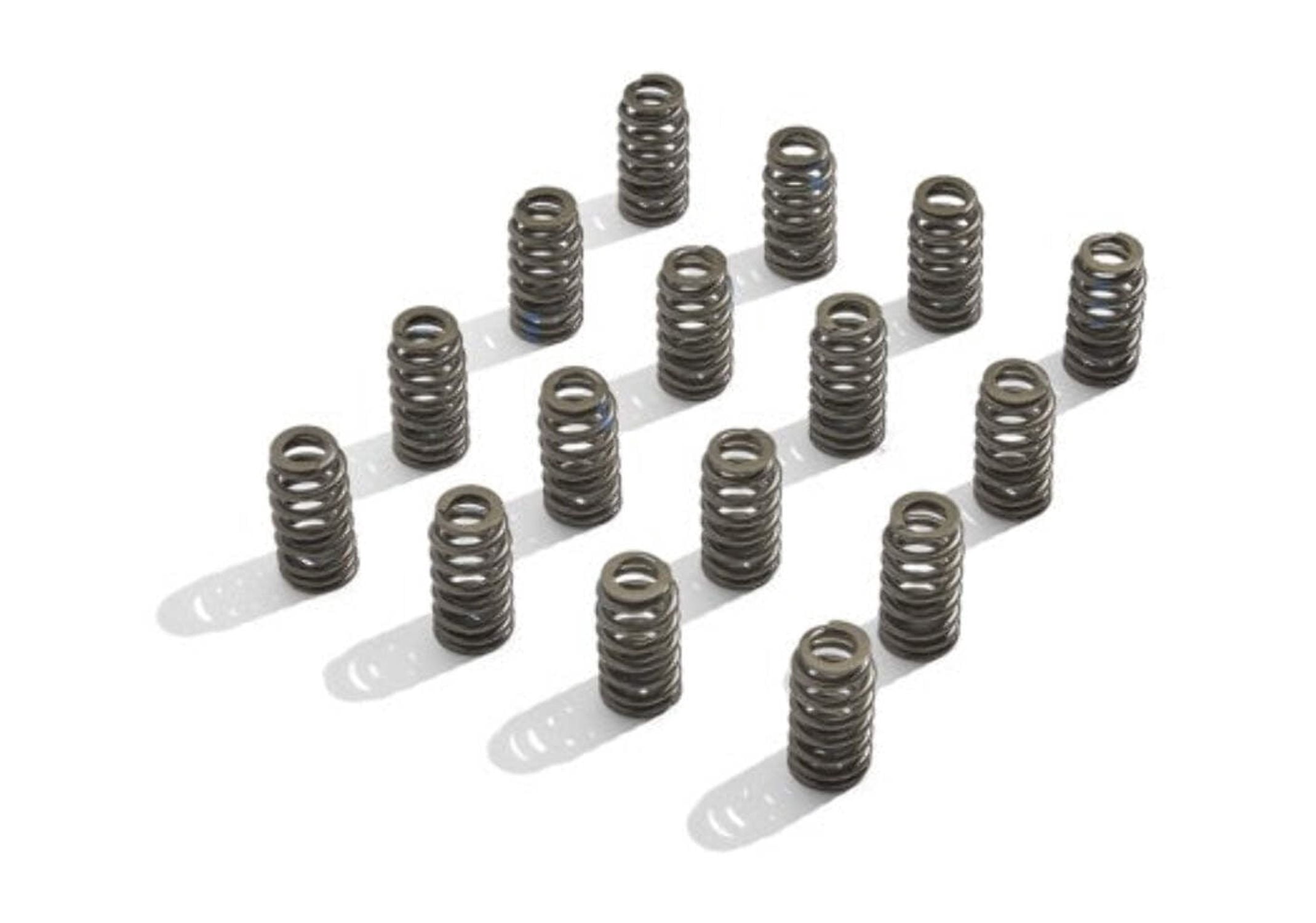 Ford Performance Parts M-6513-M50BR Valve Spring Kit Fits 11-14 Mustang