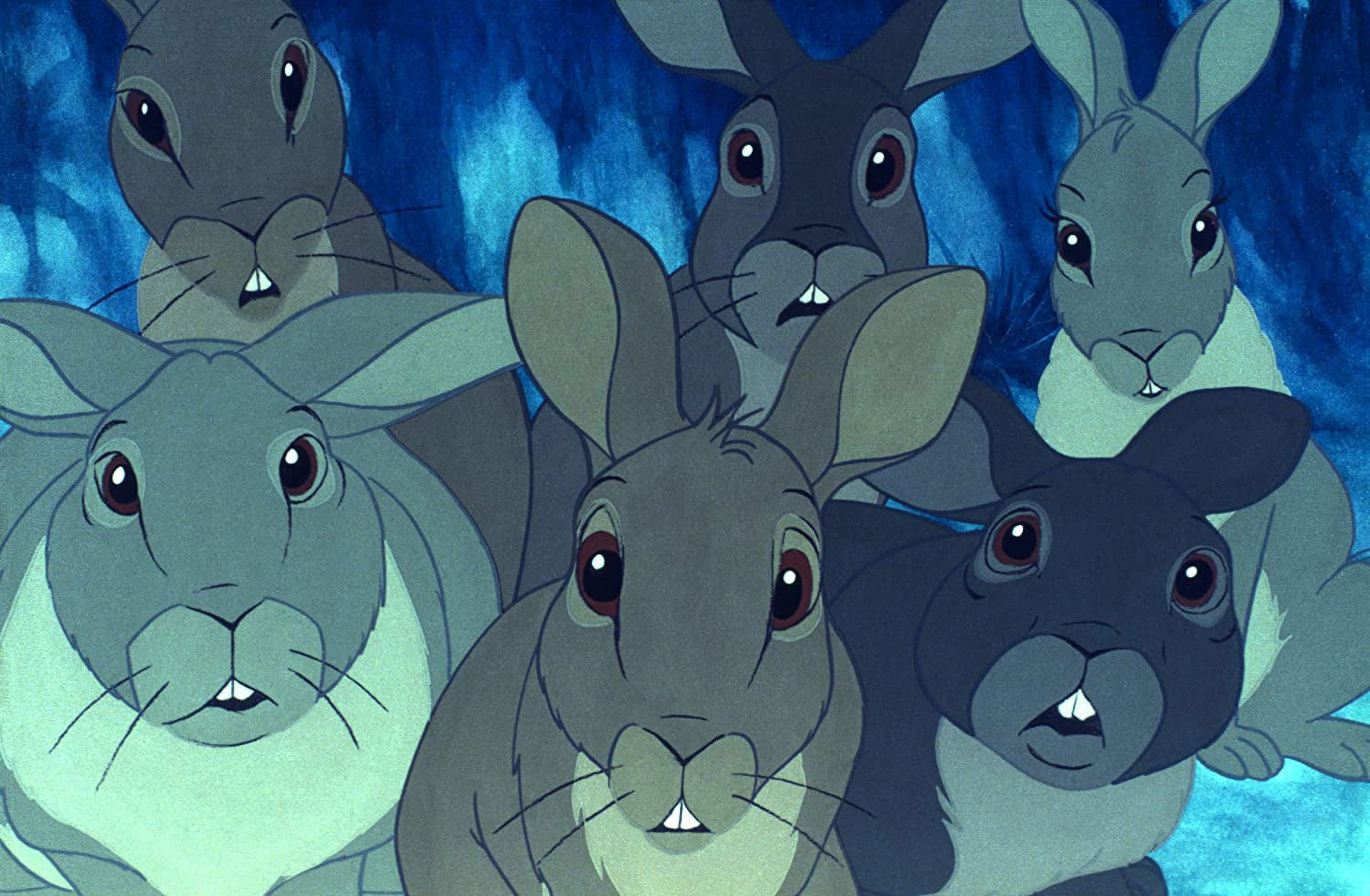 Watership Down (Criterion Collection) (DVD), Criterion Collection, Kids & Family