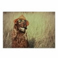 thumbnail image 1 of Animal Cutting Board, Funny Retro Irish Setter Dog Wearing Hat and Sunglasses Humorous Joyful Picture, Decorative Tempered Glass Cutting and Serving Board, Small Size, Redbrown Tan, by Ambesonne, 1 of 1