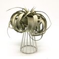 thumbnail image 4 of Plant Pot Holder, Plant Stand Iron Fashionable  For Home, 4 of 5