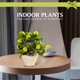 thumbnail image 3 of Bonsái de frutas, flores falsas, decoraciones artificiales creativas para el hogar, simulación de plantas verdes, 3 of 6