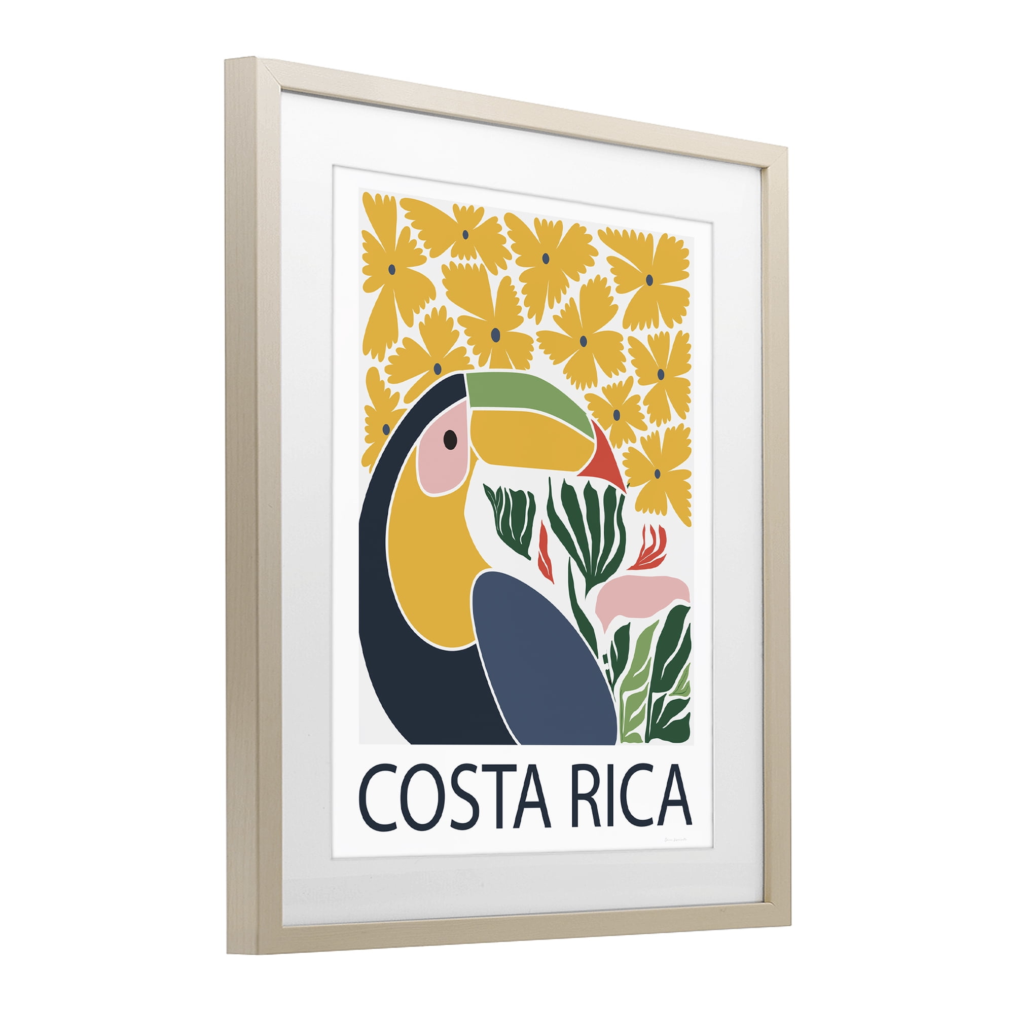 Stupell Industries Tropical Toucan & Flowers Birch Framed Print Under Glass, design by Omar Escalante