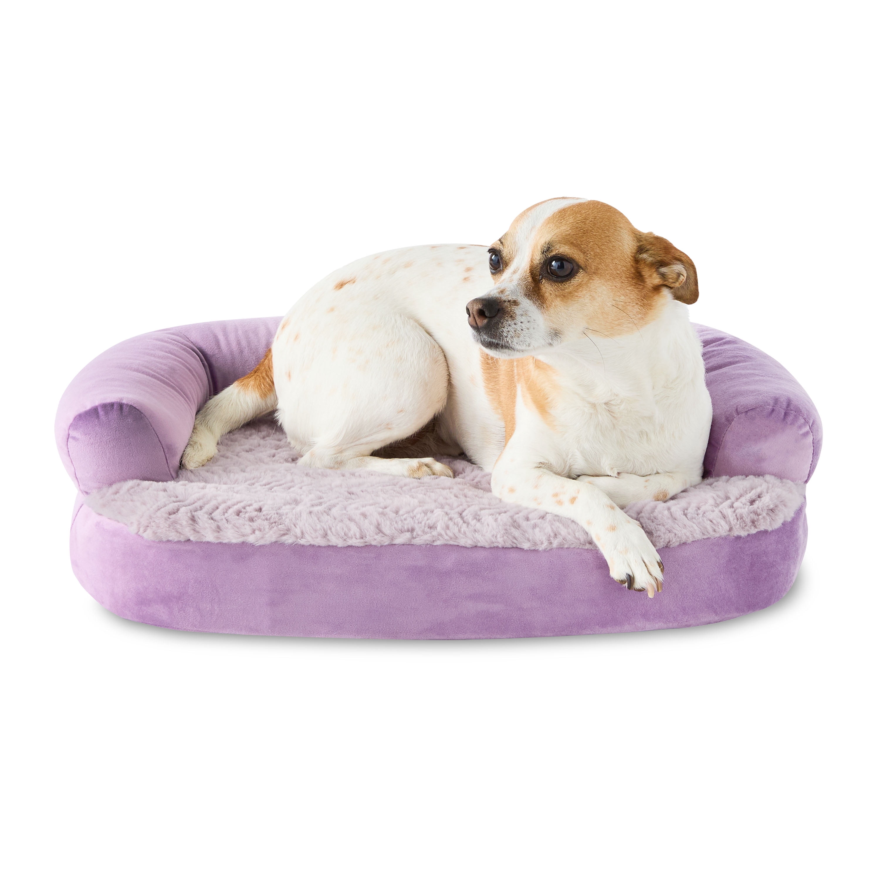 Vibrant Life Extra Small Round Corner Sofa Style Dog Bed, Purple, 15" x 20"