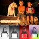 thumbnail image 2 of Collar para perro Light Outopest, 4 modos, recargable con clip, paquete de 2, 2 of 7