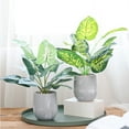 thumbnail image 3 of SPRING PARK Artificial Green Lucky Turtle leaf Decorative Home Garden Outdoor Plant Tree Pot, 3 of 7