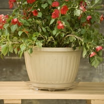 Mainstays 12 inch Round Vinyl Clear Plastic Circular Reusable Indoor Plant Saucer