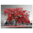 thumbnail image 2 of Design Art - Big Red Tree on Foggy Day, 2 of 3