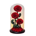 thumbnail image 3 of Rosa Eterna en Cúpula de Cristal BLESIY Regalos del Día de San Valentín, 3 of 8