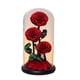thumbnail image 3 of Regalos del Día de San Valentín Macarena Rosa eterna en cúpula de cristal, 3 of 8