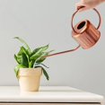 thumbnail image 3 of 34oz/1L Stainless Steel Watering Can - Indoor/Outdoor Plant Watering Can with Long Spout, Rust-Proof for Succulents, Houseplants, Garden - Modern Minimalist Design (Copper Color), 3 of 4