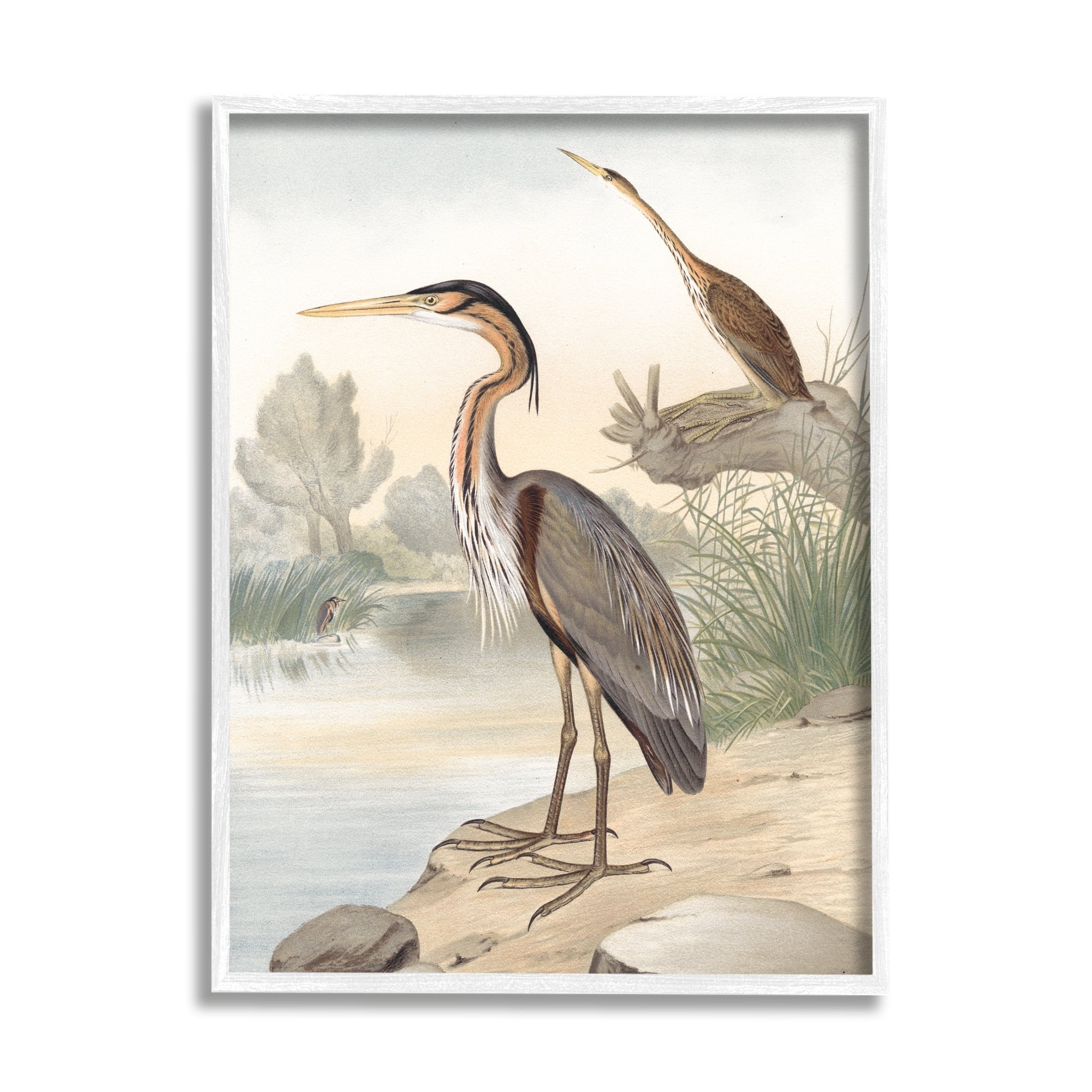 Stupell Industries Wild Heron Birds Perched Scenic Grassy Creek Painting White Framed Art Print Wall Art, Design by Piddix
