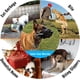 thumbnail image 3 of Perro Bozal para perro con malla transpirable y diadema de nailon, bozal para prevenir mordeduras, masticar y ladrar S, 3 of 5