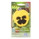 thumbnail image 1 of Semillas Pensamiento Amarillo Vita 0.2G Hasta 200 Plantas, 1 of 3