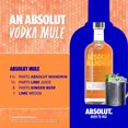 thumbnail image 5 of Absolut Mandrin Flavored Vodka, 750 ml Bottle, 40% ABV, 5 of 9