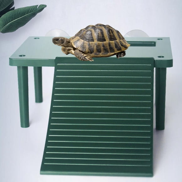 Plateforme pour Se Détendre en Forme de Tortue, Surface Lisse Sans Bavures, Échelle d'Escalade Amusante, Décoration de Paysage d'Aquarium