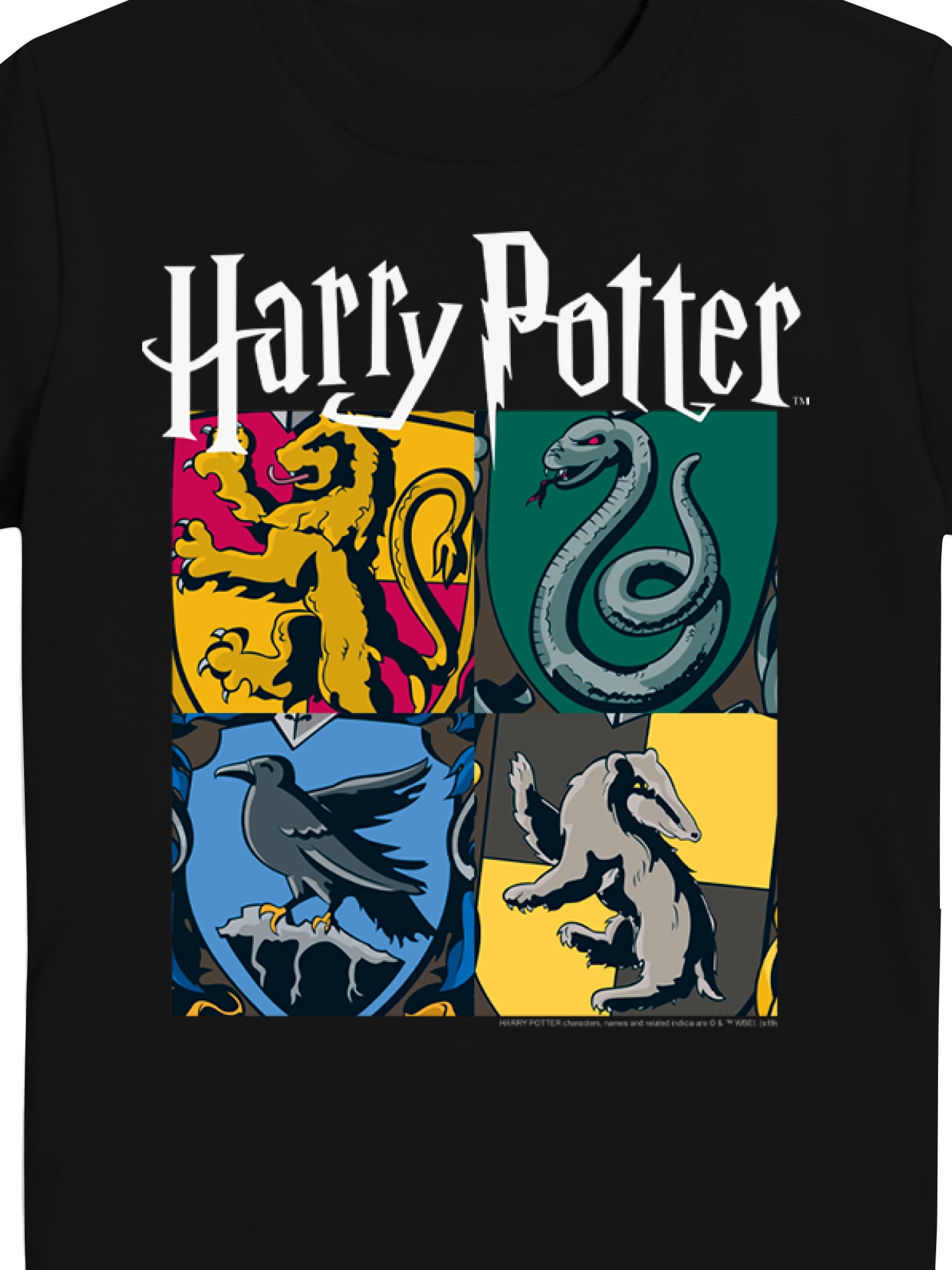 Harry Potter, Boys' & Big Boys' Graphic Tee, All Houses, Sizes 4-18
