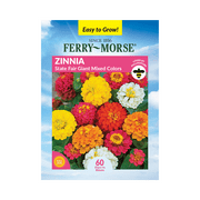 Ferry-Morse 450MG Zinnia State Fair Giant Mixed Colors Annual Flower Seeds Full Sun