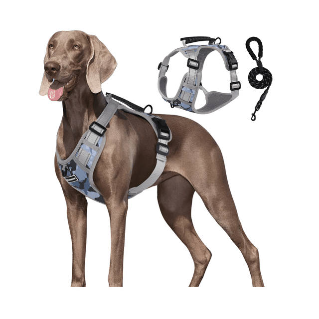 Xtellar Pechera Arnés De Seguridad Para Perro Chico Mediano Y Grande Talla S